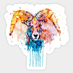 Bighorn Sheep Portrait Sticker